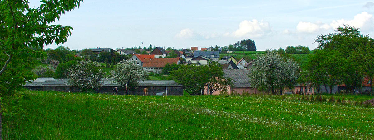  Hahnweiler Hunsrück 