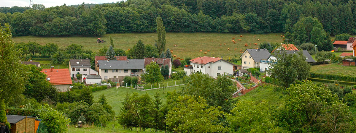  Reichenbach Hunsrück 