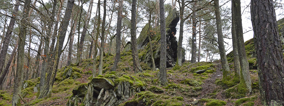 Altlayer Schweiz Hunsrück 